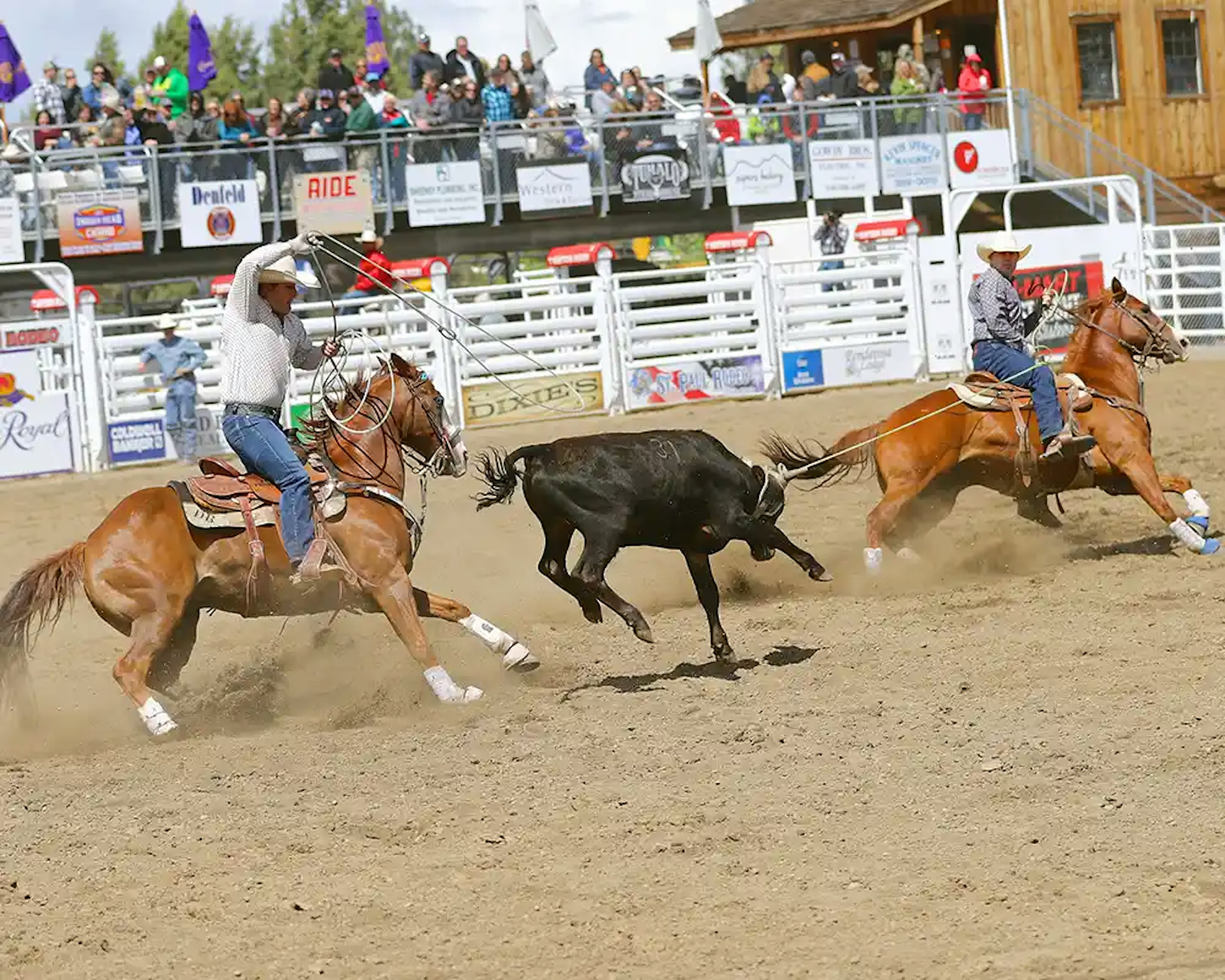 Sisters Rodeo, photo