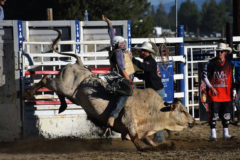 La Pine Rodeo image 1