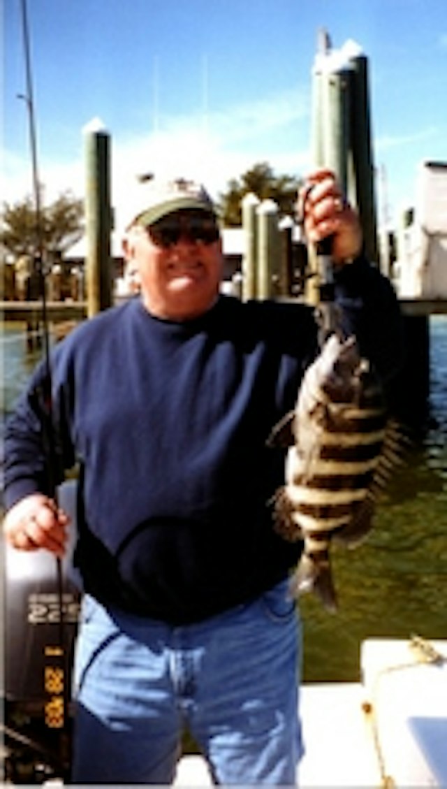 Fishy Business image 8