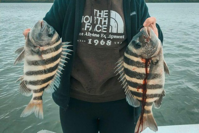 Florida Fishing Fleet image 6