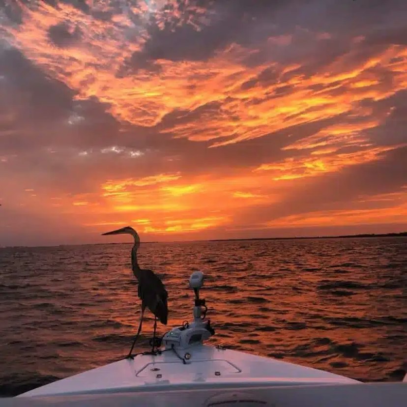 Anna Maria Charters image 1