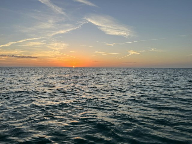 Anna Maria Charters image 2