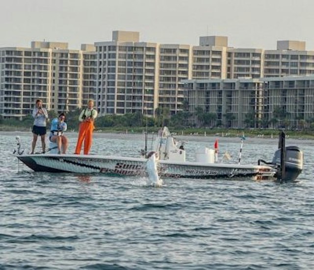 Suncoast Fishing Charters image 5