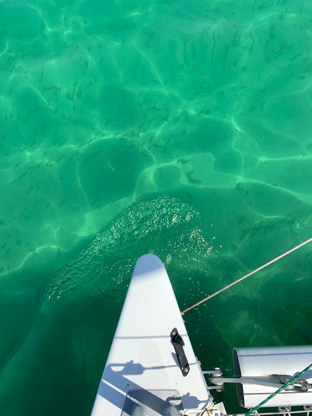 Flip Flops Sailing image 4