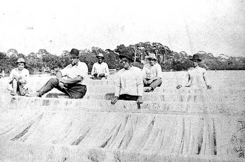 Cortez Village Historical Society image 3