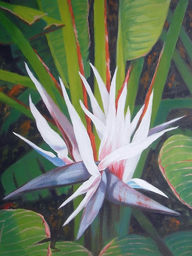 Artists Guild Gallery of Anna Maria image 1
