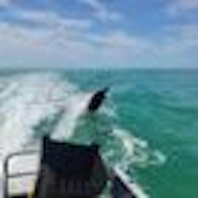 Crysten’s AMI Boat Tours image 7