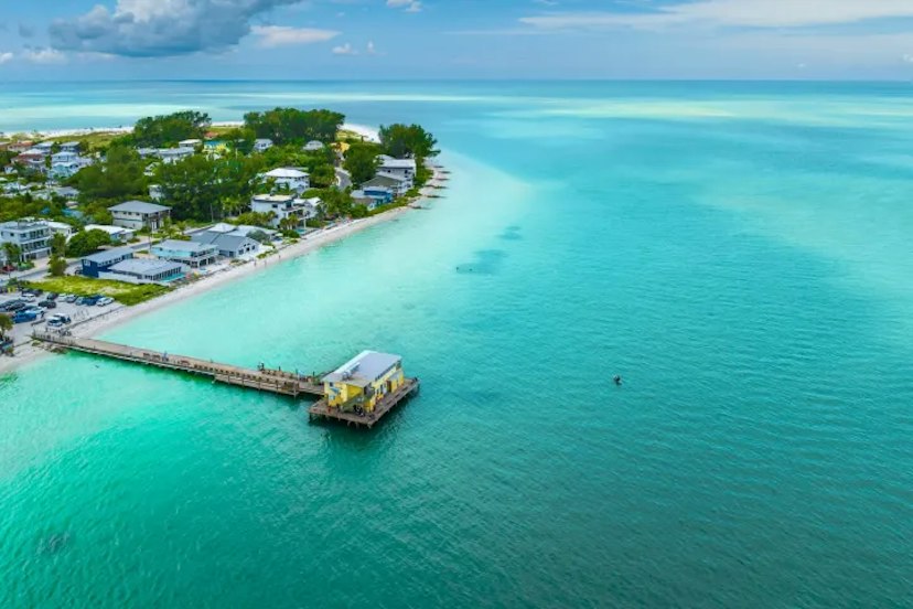 Anna Maria Island Dolphin Tours image 1