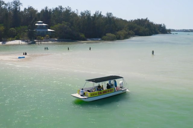 Anna Maria Island Dolphin Tours image 2