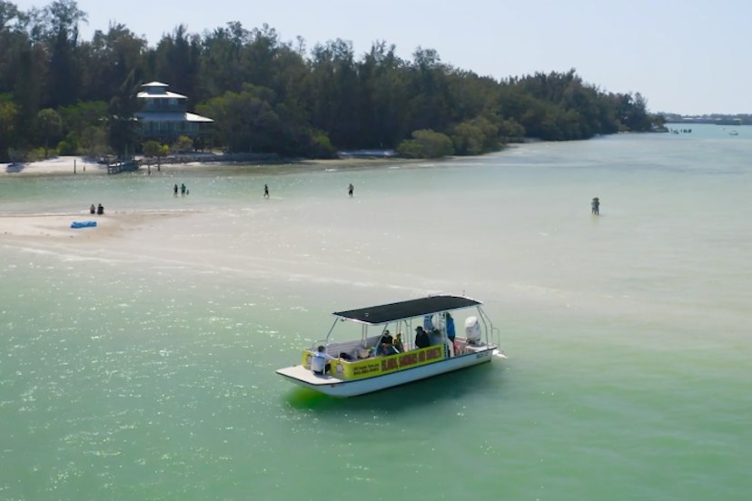 Anna Maria Island Dolphin Tours image 2