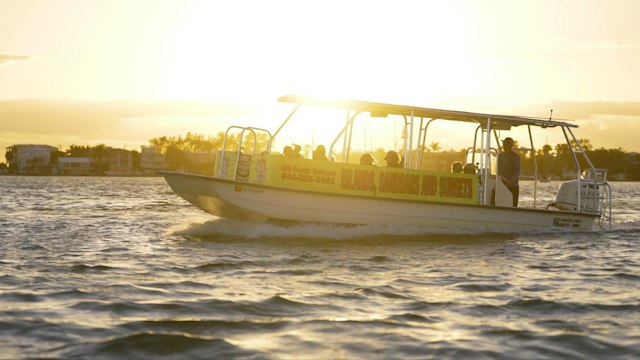 Anna Maria Island Dolphin Tours image 4