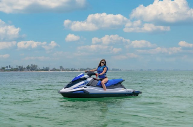 Anna Maria Island Dolphin Tours image 8