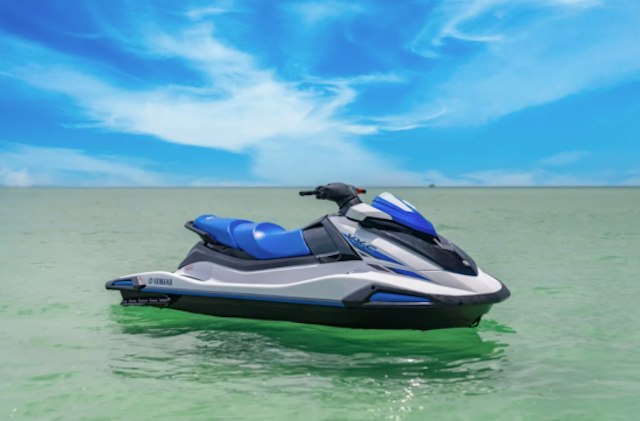 Anna Maria Island Dolphin Tours image 7
