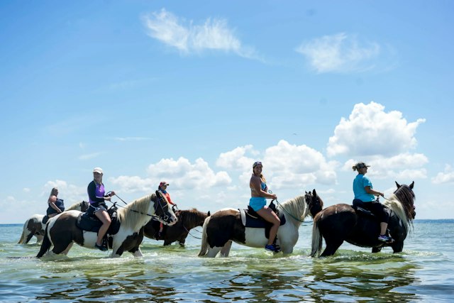 C Ponies Beach Horseback Rides image 1
