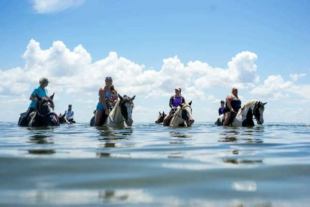 C Ponies Beach Horseback Rides image 2