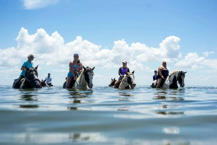 C Ponies Beach Horseback Rides image 2