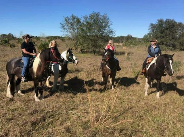 C Ponies Beach Horseback Rides image 4