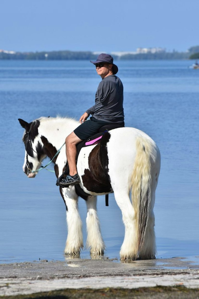 C Ponies Beach Horseback Rides image 3