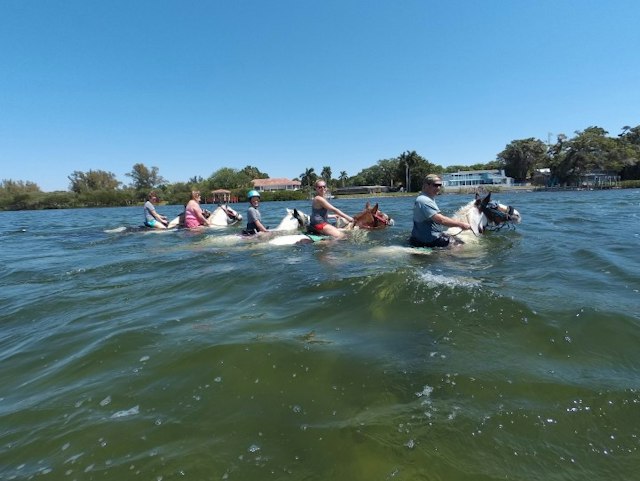 C Ponies Beach Horseback Rides image 9