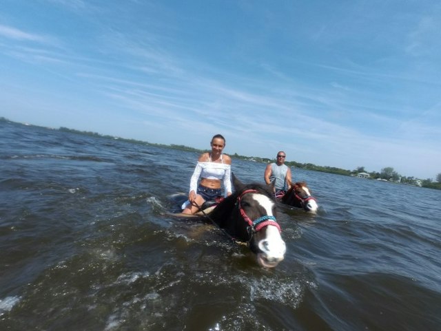 C Ponies Beach Horseback Rides image 6