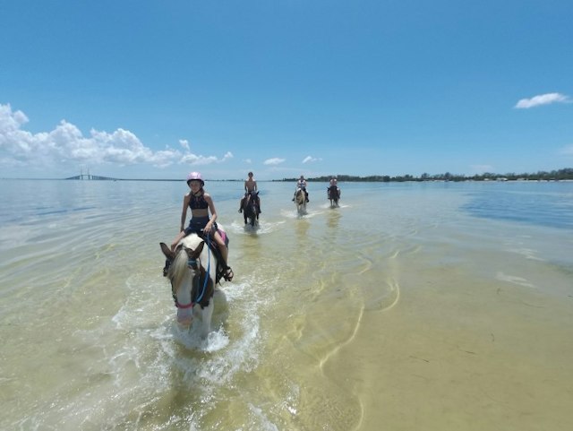 C Ponies Beach Horseback Rides image 8