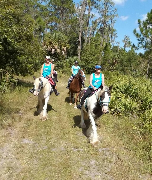 C Ponies Beach Horseback Rides image 13