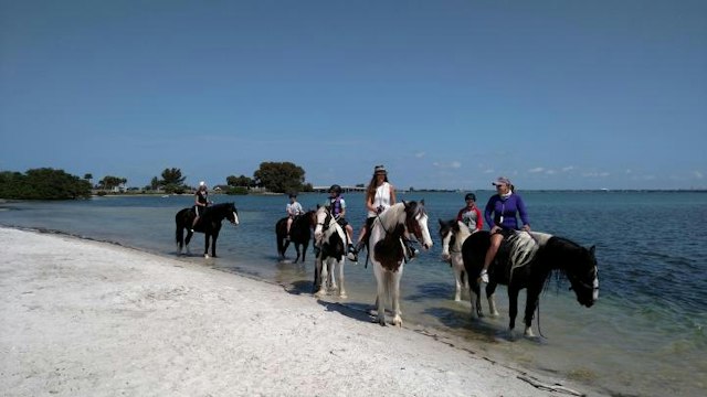 C Ponies Beach Horseback Rides image 10