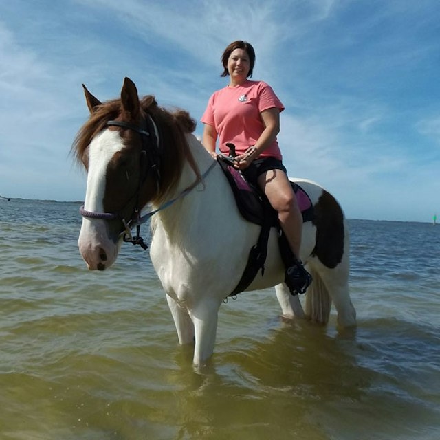 C Ponies Beach Horseback Rides image 12