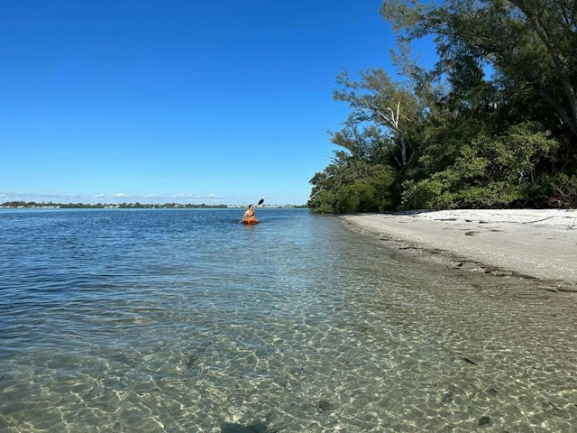 Florida Blue Adventures image 2