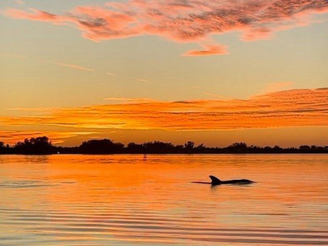Florida Blue Adventures image 3