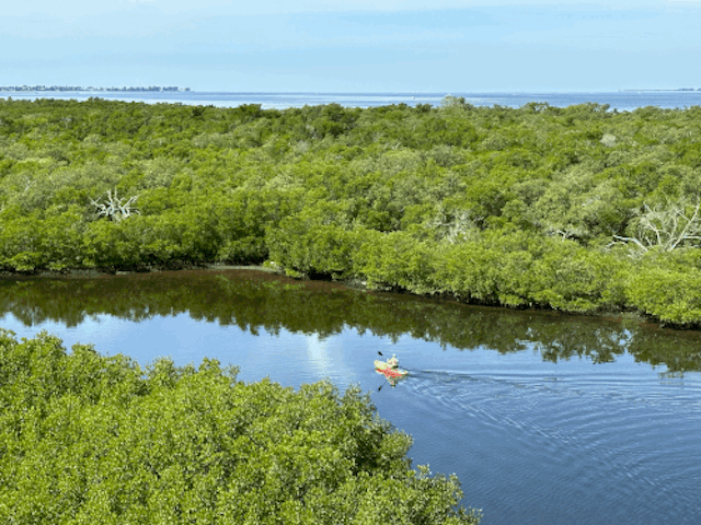 Florida Blue Adventures image 5