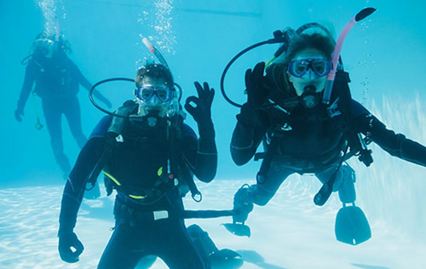 Florida Underwater Sports image 1