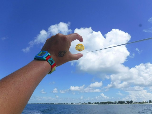 YOLO Parasail image 3