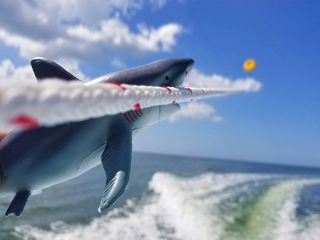YOLO Parasail image 6