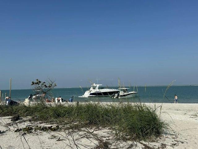 Top Fun Charters image 8