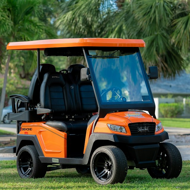 AMI Golf Cart Rentals image 3