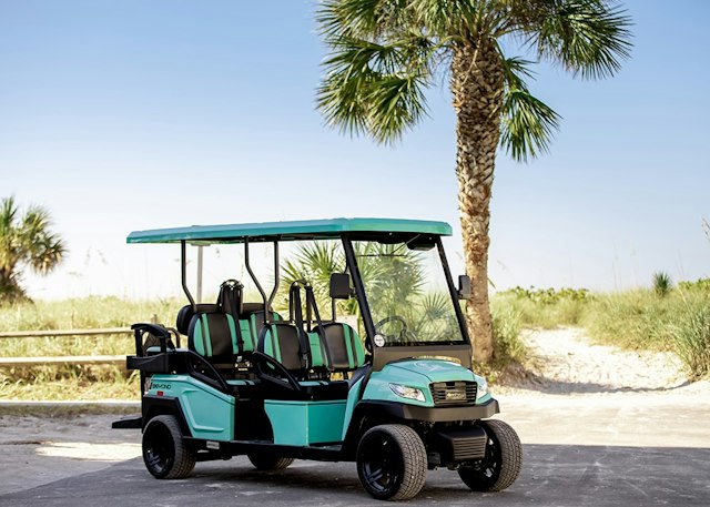 AMI Golf Cart Rentals image 4