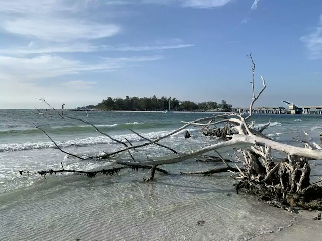 Seaside Island Adventures image 4