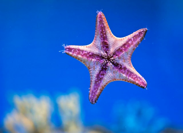 Mote Marine Science Education & Outreach Center image 1