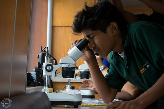 Mote Marine Science Education & Outreach Center image 7
