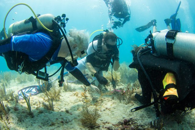 Mote Marine Science Education & Outreach Center image 5