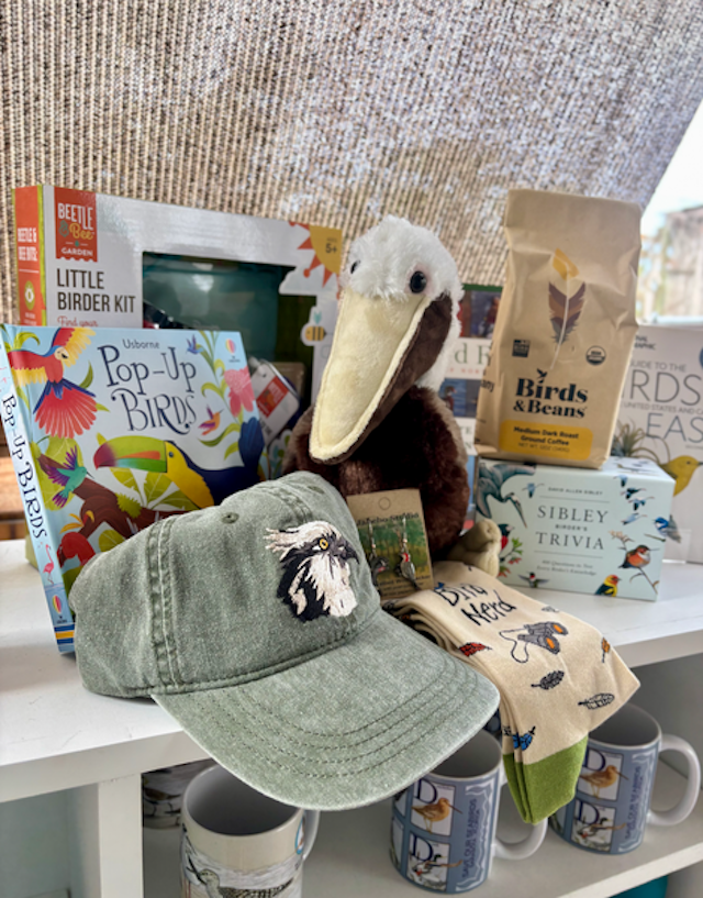 Save Our Seabirds image 5