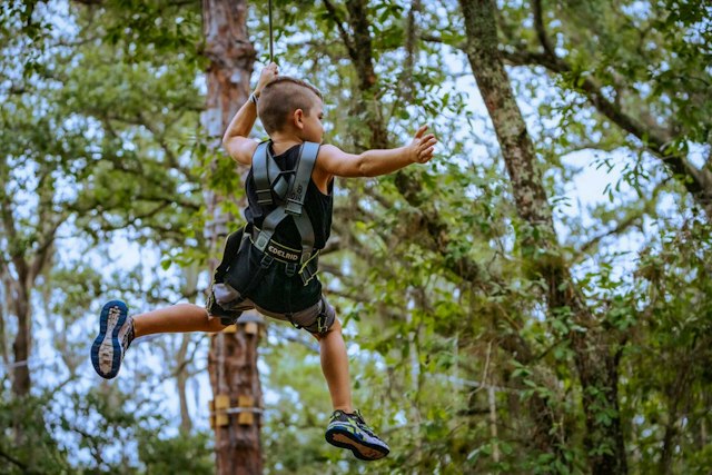 TreeUmph! Adventure Course image 4