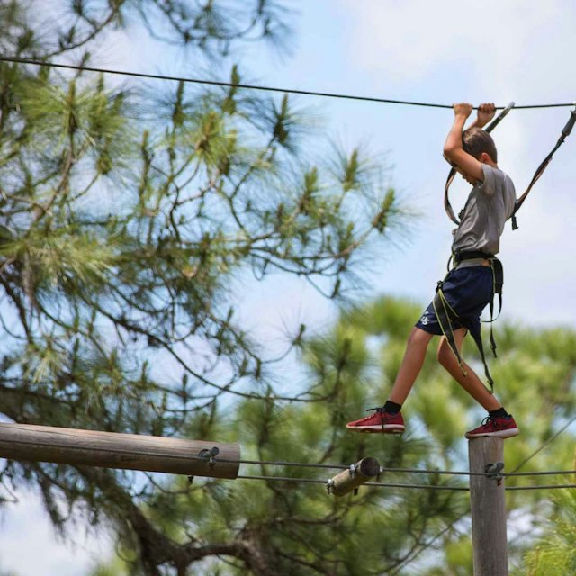 TreeUmph! Adventure Course image 3