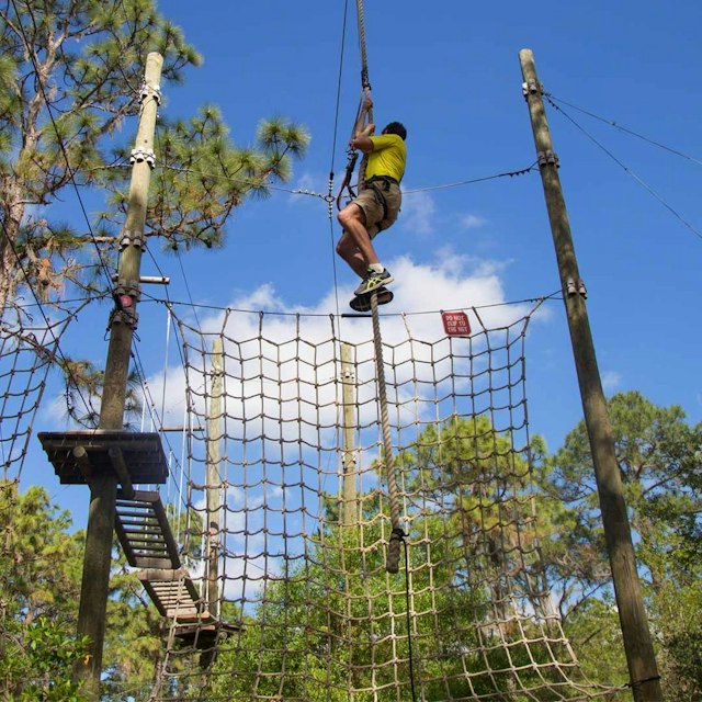 TreeUmph! Adventure Course image 7