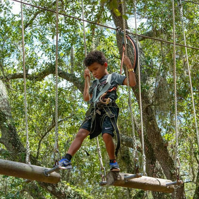 TreeUmph! Adventure Course image 8
