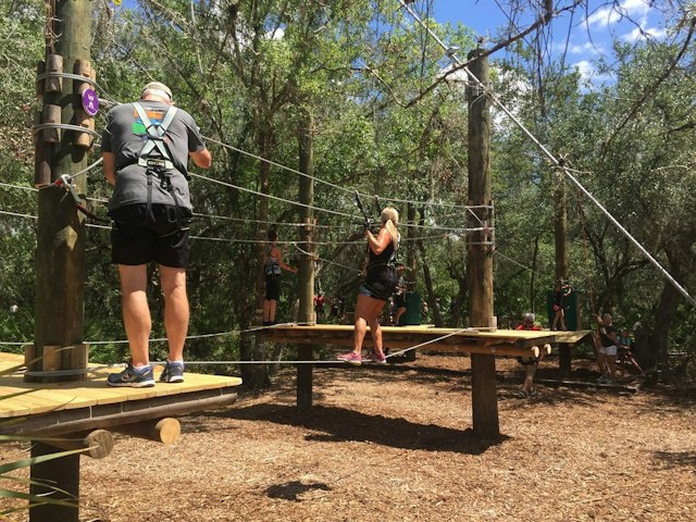 TreeUmph! Adventure Course image 10