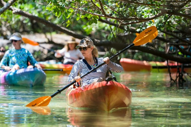 Kayaking SRQ Tours & Rentals image 2