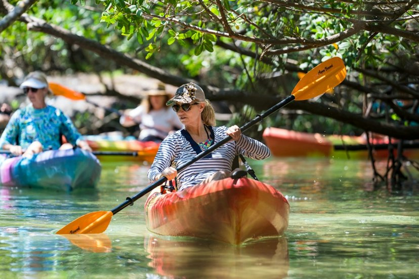 Kayaking SRQ Tours & Rentals image 2