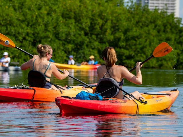 Kayaking SRQ Tours & Rentals image 8